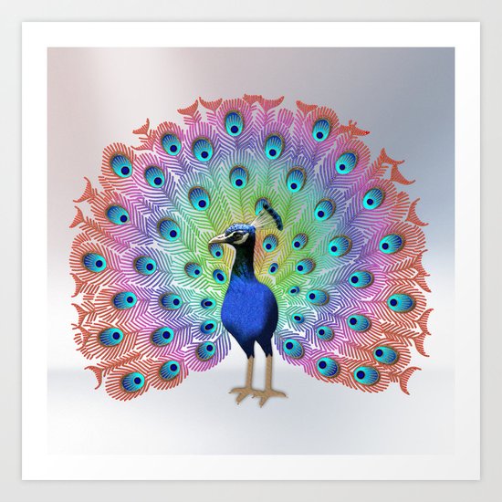 Colorful Peacock Art Print