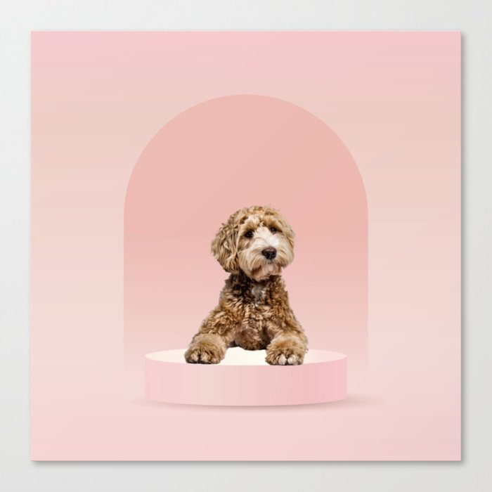 Goldendoodle Laying on Pastel Pink Podium Canvas Print