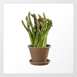 Asparagus flowers Art Print