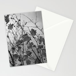 Autumn Trees B&W 1 Stationery Cards