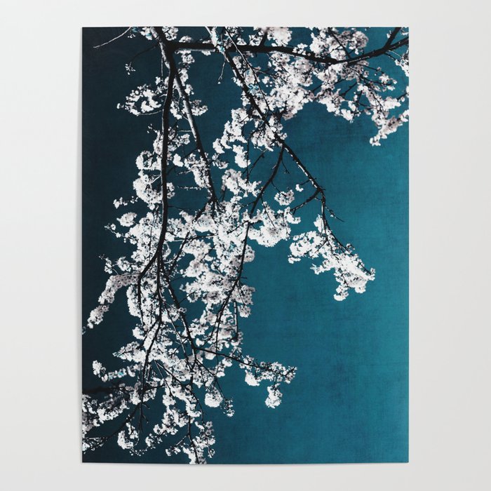 White Blossoms Tree Print - Flowers in Teal - Elegant Floral -  Japanese Nature photography Poster