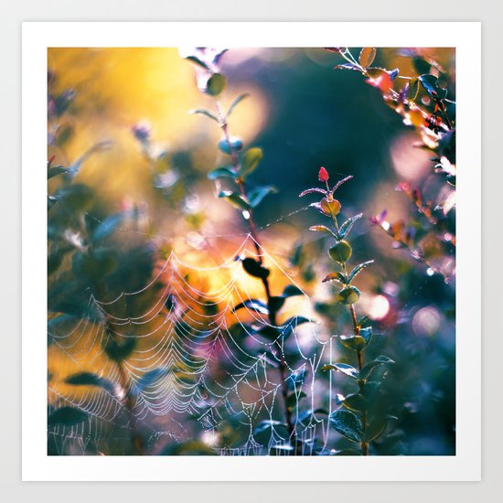 Early Autumn Art Print