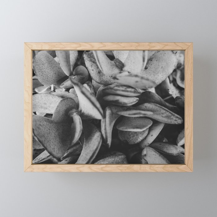 Freckled BW Framed Mini Art Print