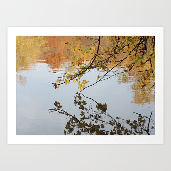 The River During Fall Art Print