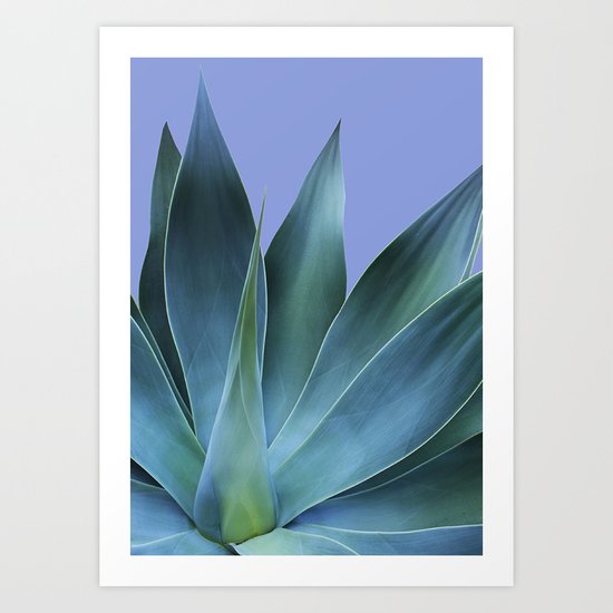 Agave Art Print