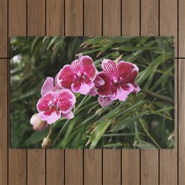 Orchids Tropical Flowers 01 Outdoor Rug