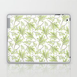 Tea tree leaves seamless pattern. Hand drawn vintage illustration of Melaleuca. Green medicinal plant isolated on white background.  Laptop Skin