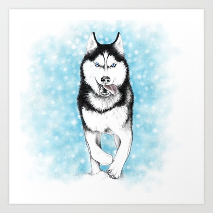 Husky canvas outlet prints