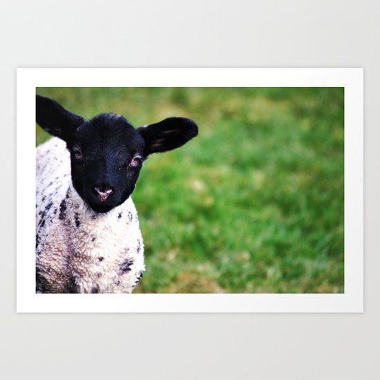 Spring time Art Print