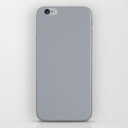 Colors from the Sea ~ Light Blue-gray iPhone Skin