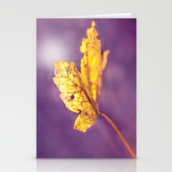 MAPLE Stationery Cards
