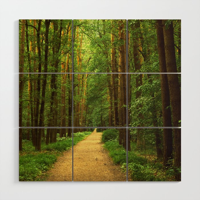 Forest path Wood Wall Art