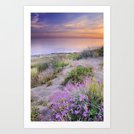 Sunset at the beach. Flowers on the sand. Art Print