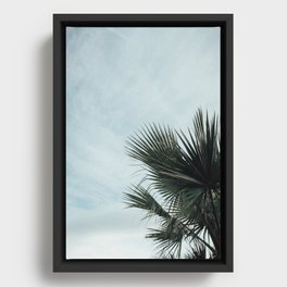 Palm Springs V Framed Canvas