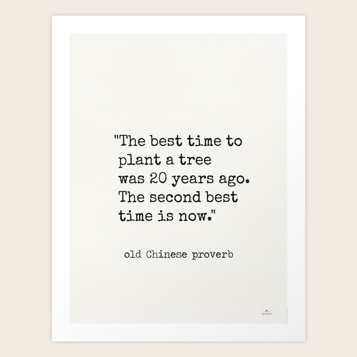 "The best time to plant a tree was 20 years ago. The second best time