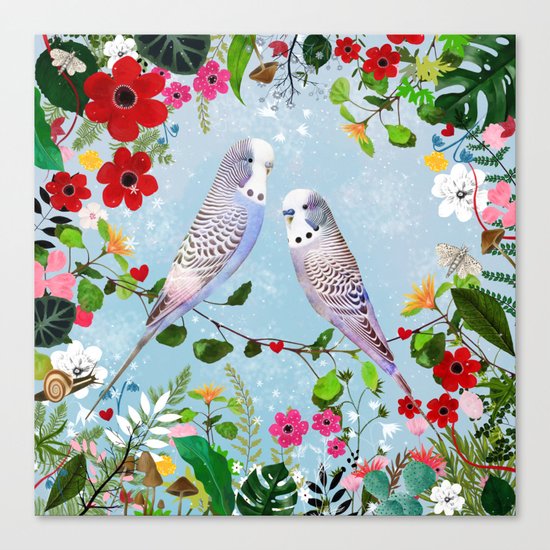 Budgerigars Canvas Print