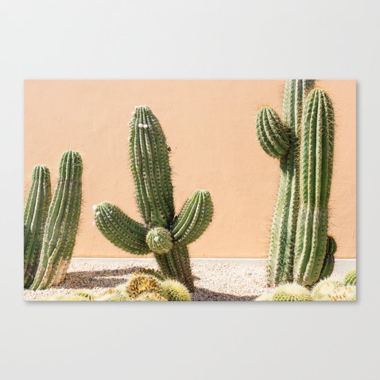 Pastel Cactus II Canvas Print