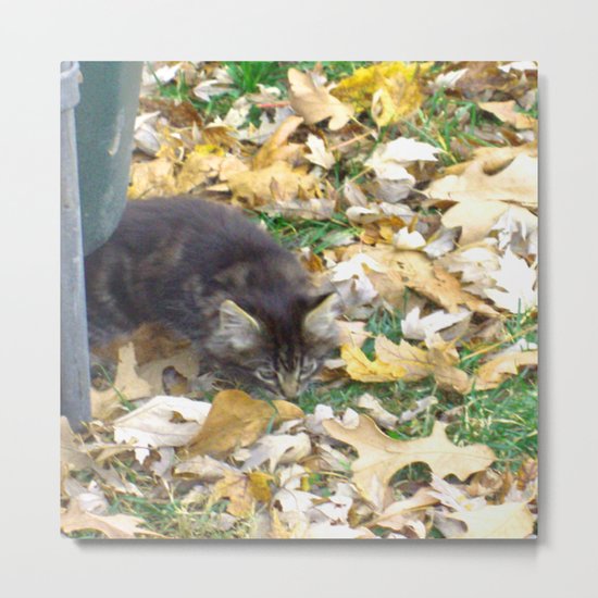 Autumn Kitten Metal Print