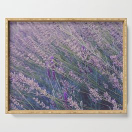 Field of Tall Wild Lavender Plants Serving Tray