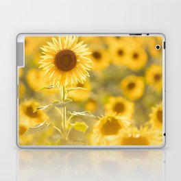 field of sunflowers3854714 Laptop Skin