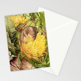 Honey Possum in Dryandra Stationery Cards