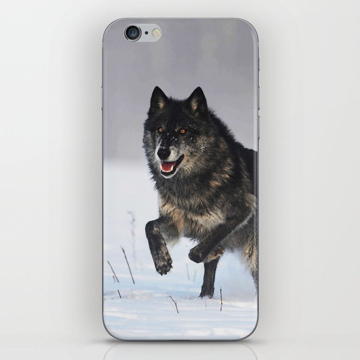 Wolf 14 iPhone Skin