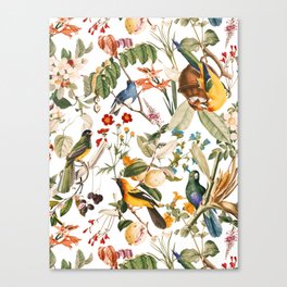 Floral and Birds XXXII Canvas Print