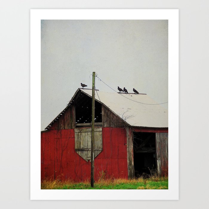 Vultures On The Red Barn Roof Art Print By Angelandspot Society6