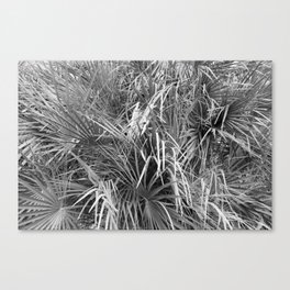 Fan Palm Fronds Greyscale Abstract Canvas Print