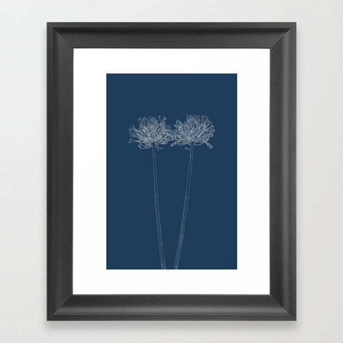 Agapanthus Blueprint Framed Art Print