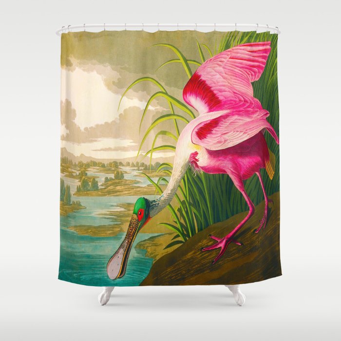 Roseate Spoonbill Bird pink Shower Curtain