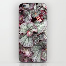 Leaves 3 iPhone Skin