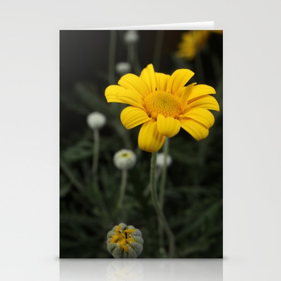 Spring - Chrysanthemum Stationery Cards