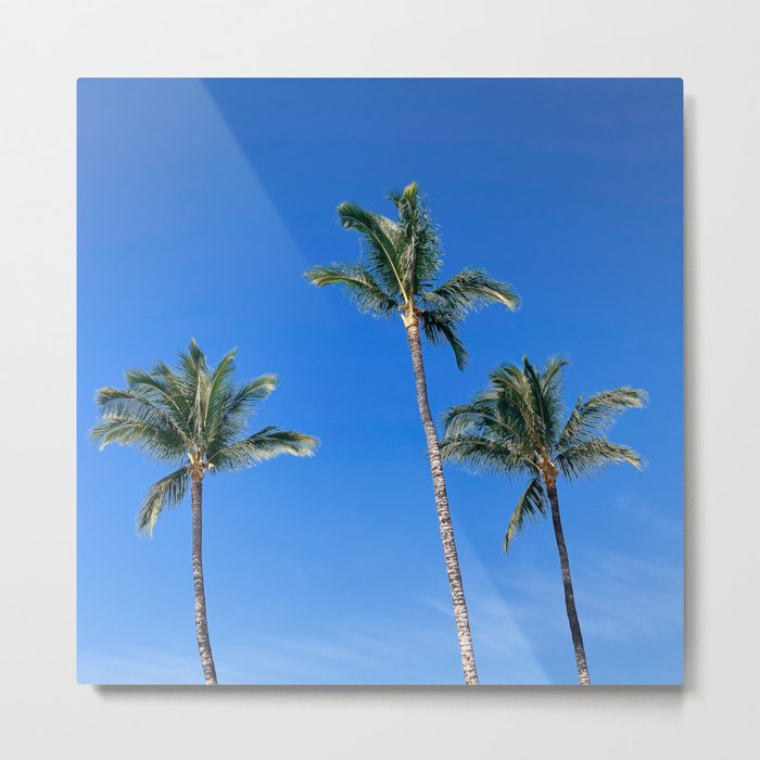 Three Little Palm Trees Metal Print