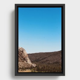 The Great Beyond Framed Canvas