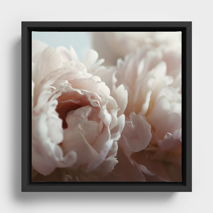 Framed Canvas
