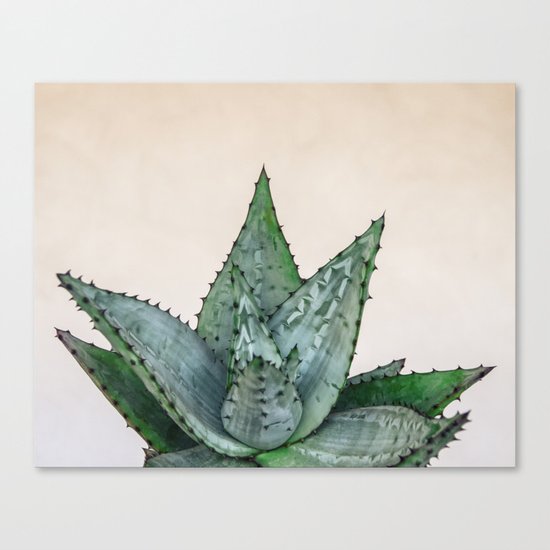 nature VI cactus Canvas Print