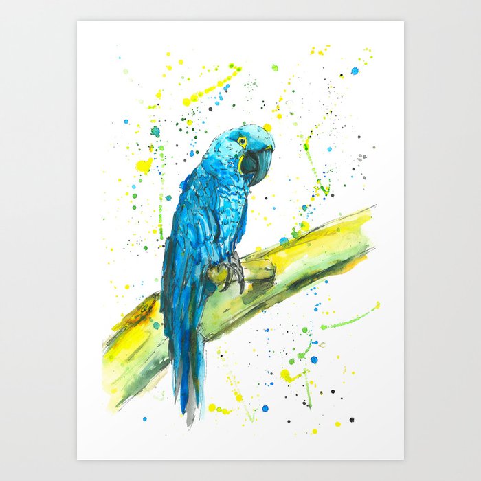 Parrot Hyacinth Macaw Watercolor Painting Art Print By