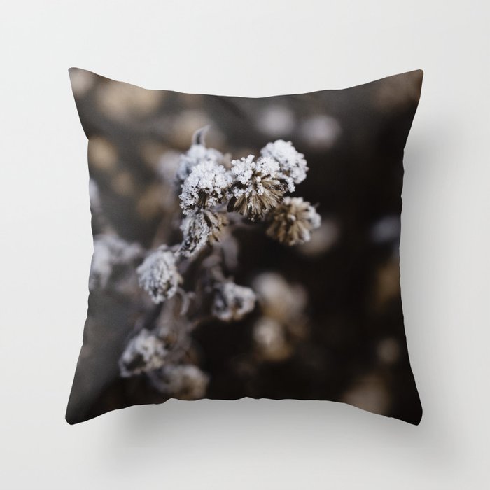 Detail of a frozen thistle in winter Throw Pillow