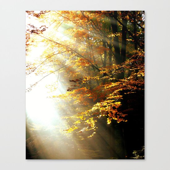 autumn Canvas Print