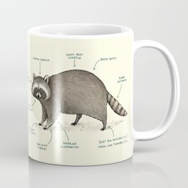 Anatomy of a Raccoon Mug