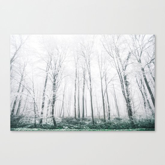 Winter Forest Canvas Print