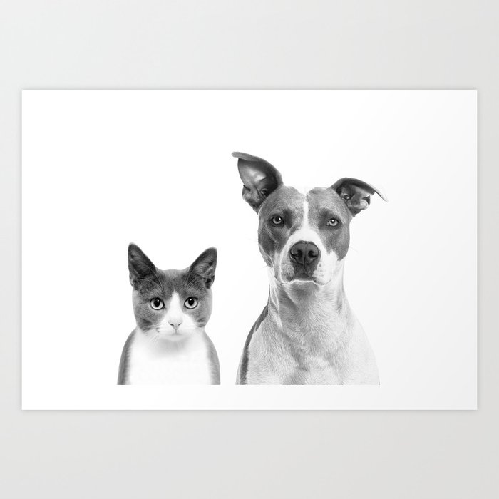 Cat and dog wall art new arrivals