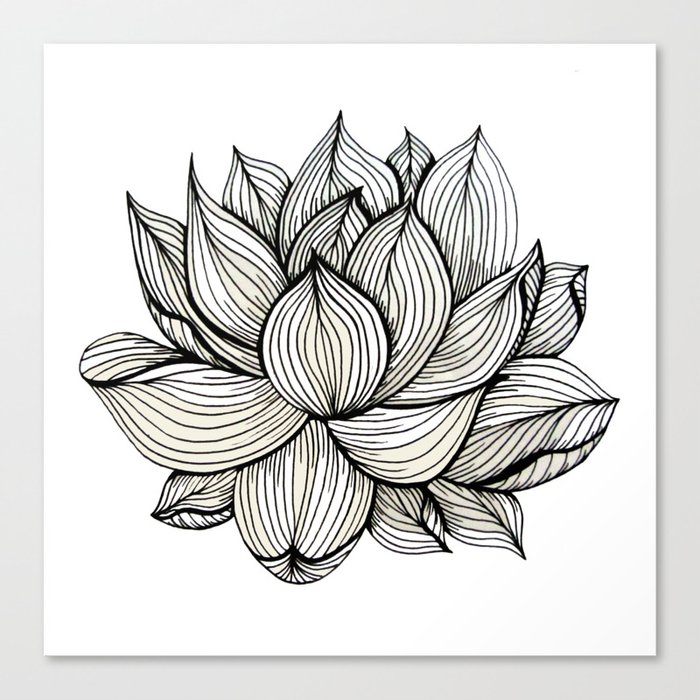 lotus flower black and white sketch