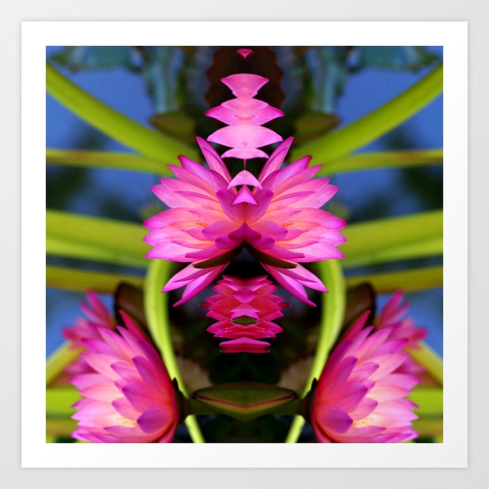  pink lotus Art Print