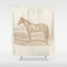 HORSE VINTAGE MONOCHROME ILLUSTRATION  Shower Curtain