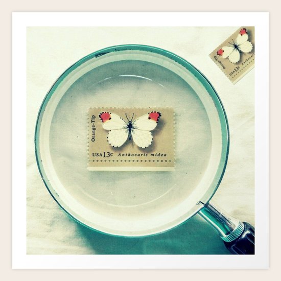 I Spy Art Print
