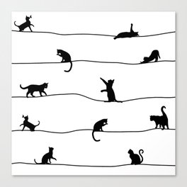 Black cats Canvas Print