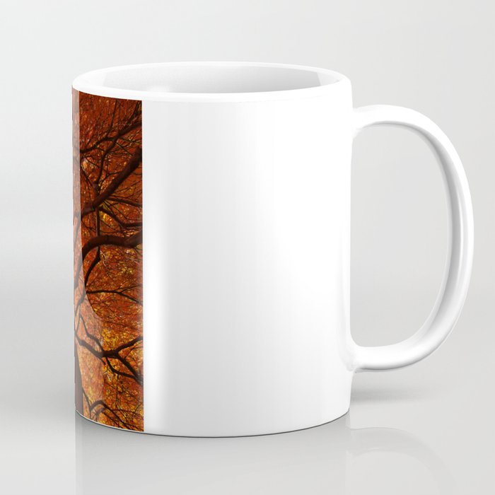 Ephemeral - Fall Maple Leaves, Nature Photography Coffee Mug