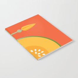 Fruit: Cantaloupe Notebook